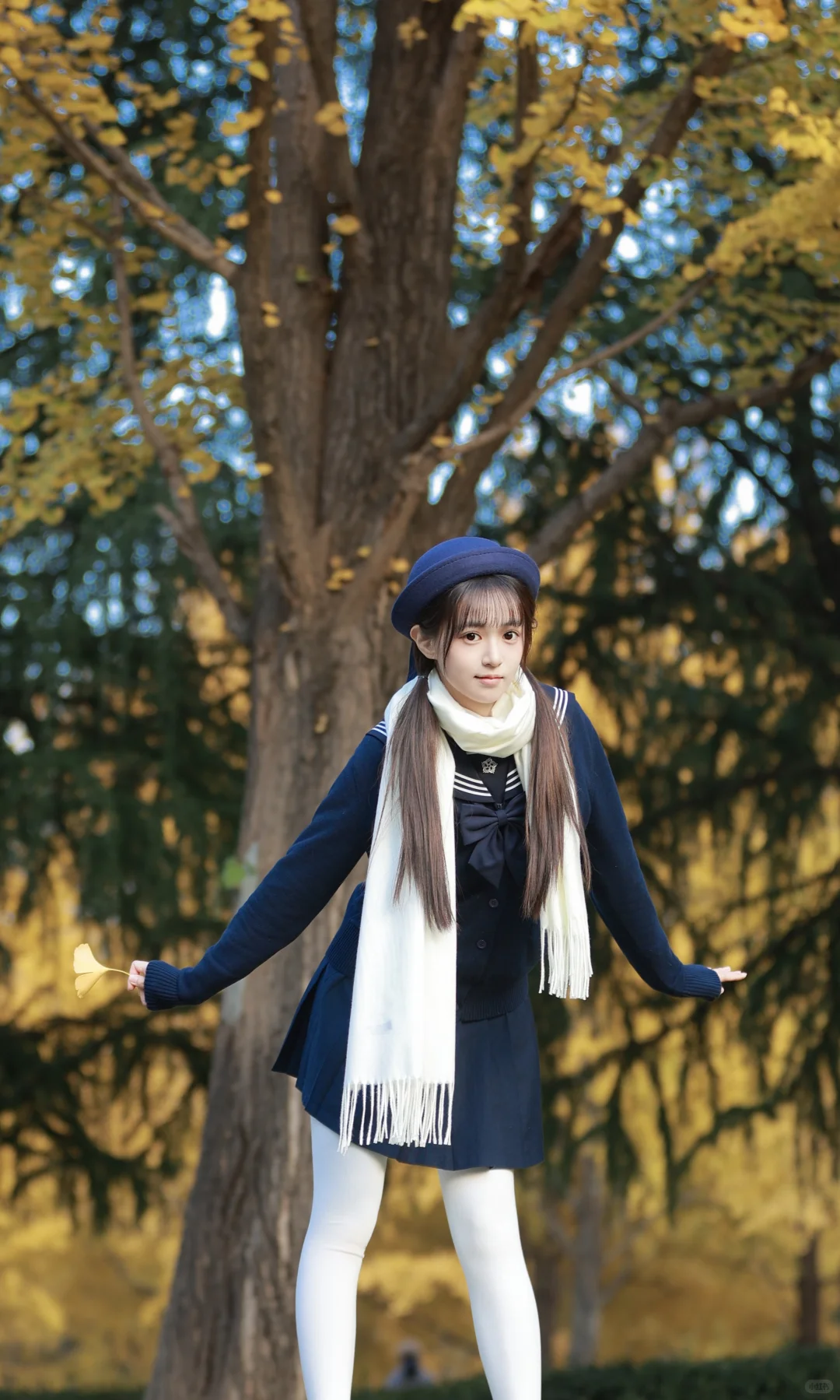抓住秋天的尾巴，去拍银杏叶黄啦🍂