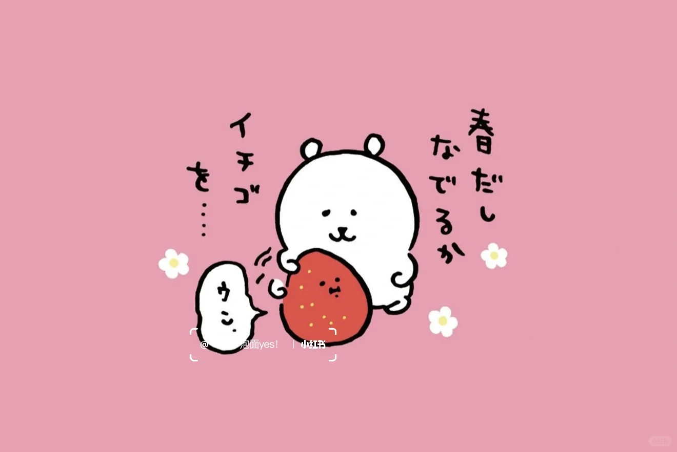 熊～可爱系iPad壁纸🐰