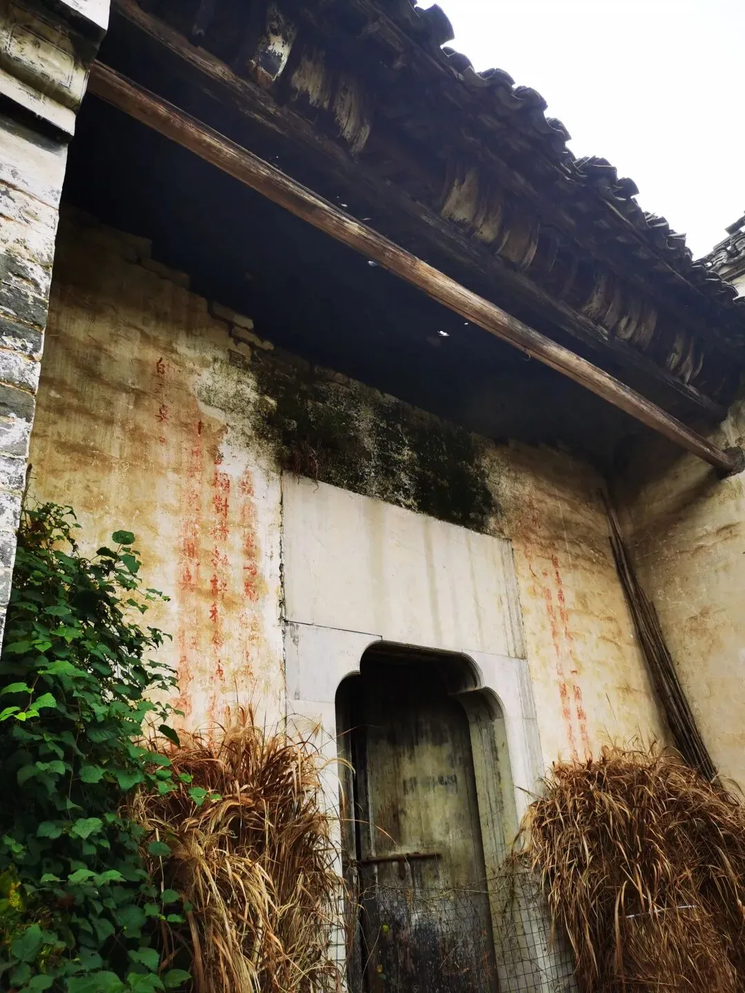 《乡间的小路》,一曲老歌,梦回年少乡间时光