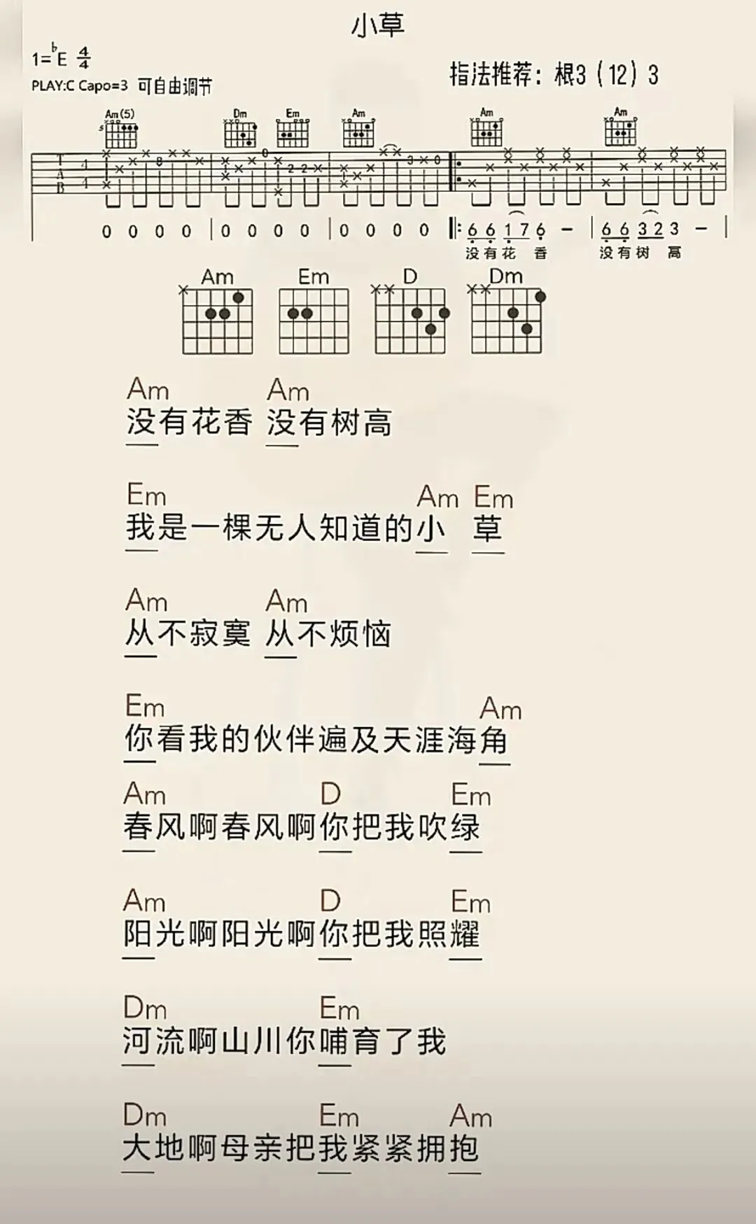吉他弹唱老歌《小草》
