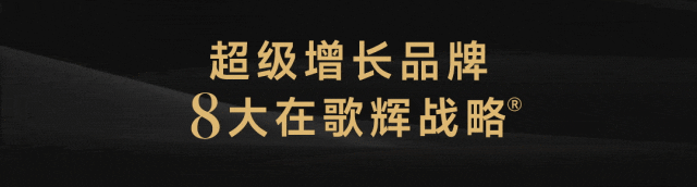 歌辉战略 * 高维学堂|《战略大单品》模式实战课首期圆满亮相
