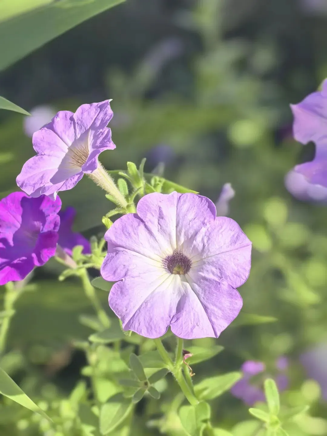 普通人的写照——歌曲庙堂之外