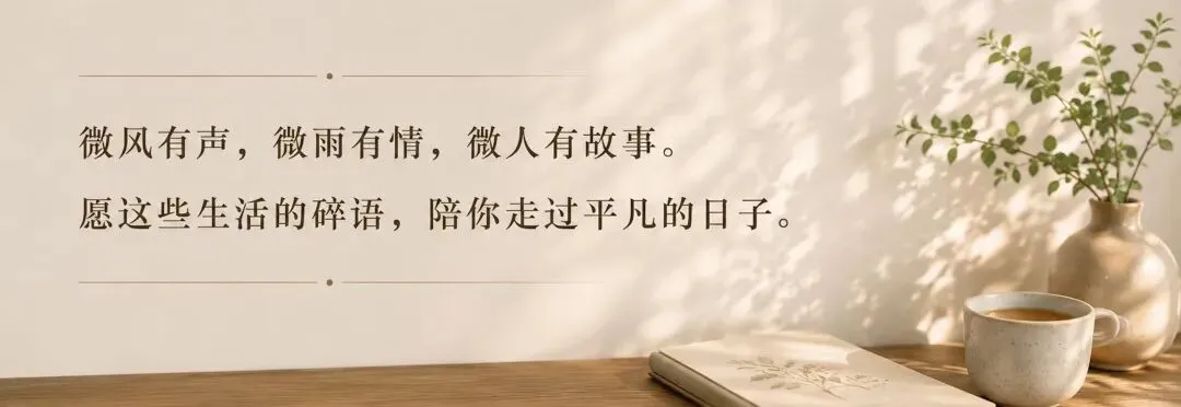 观察|这首二十多年前的老歌,今天突然听懂了
