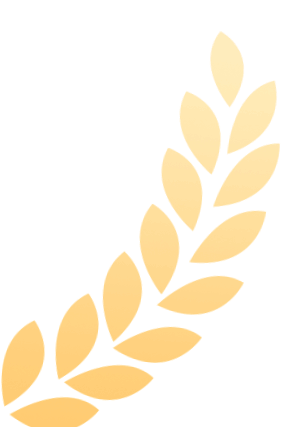 家风如歌润乡野 三色薪火传高桥——“家风如歌 薪火相传”2026娄底好家风故事分享会高桥村专场顺利举办