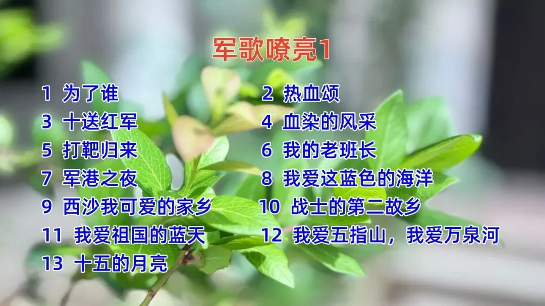 十三首军旅歌曲,凭着接地气的旋律和正能量的内核,成了全民传唱的热点
