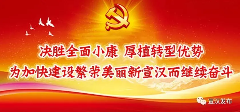 歌曲《蓝莓之恋》—— 蓝莓结硕果 产业促脱贫