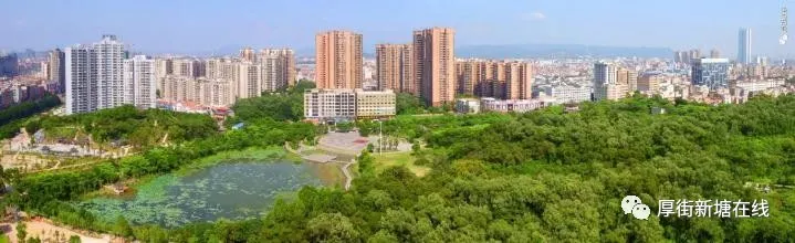 【宣传】粤语歌曲大赛总决赛海报