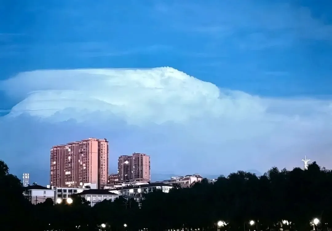 又闻老歌起