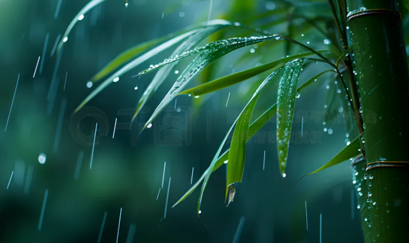 8首歌名带雨的老歌,总有一首你下雨天会想起