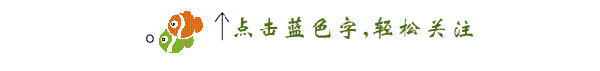 有多少歌可以AI——挪威的森林