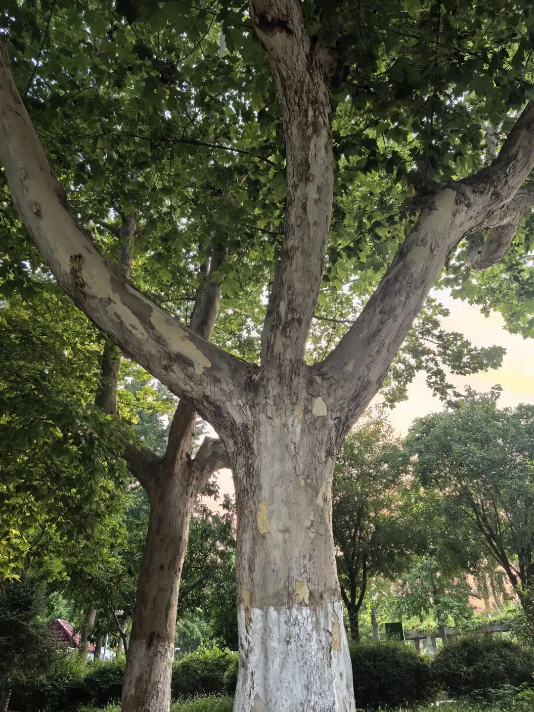 分享个免费下载歌曲的地方