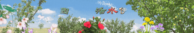 听到这首歌,我不自觉地举起了双手……这也太好听了吧!