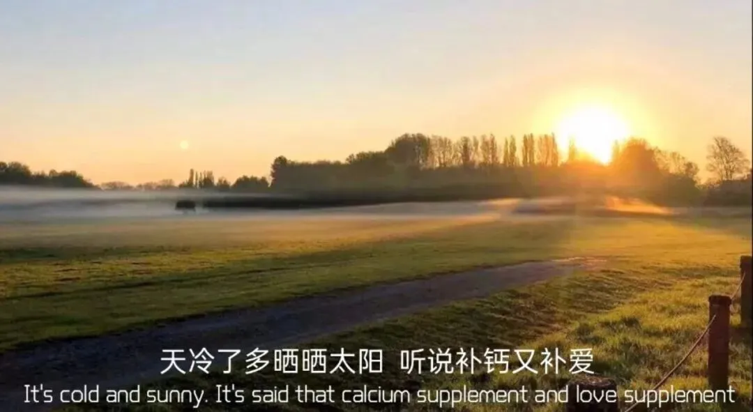 好好背方歌201 | 镇肝熄风汤