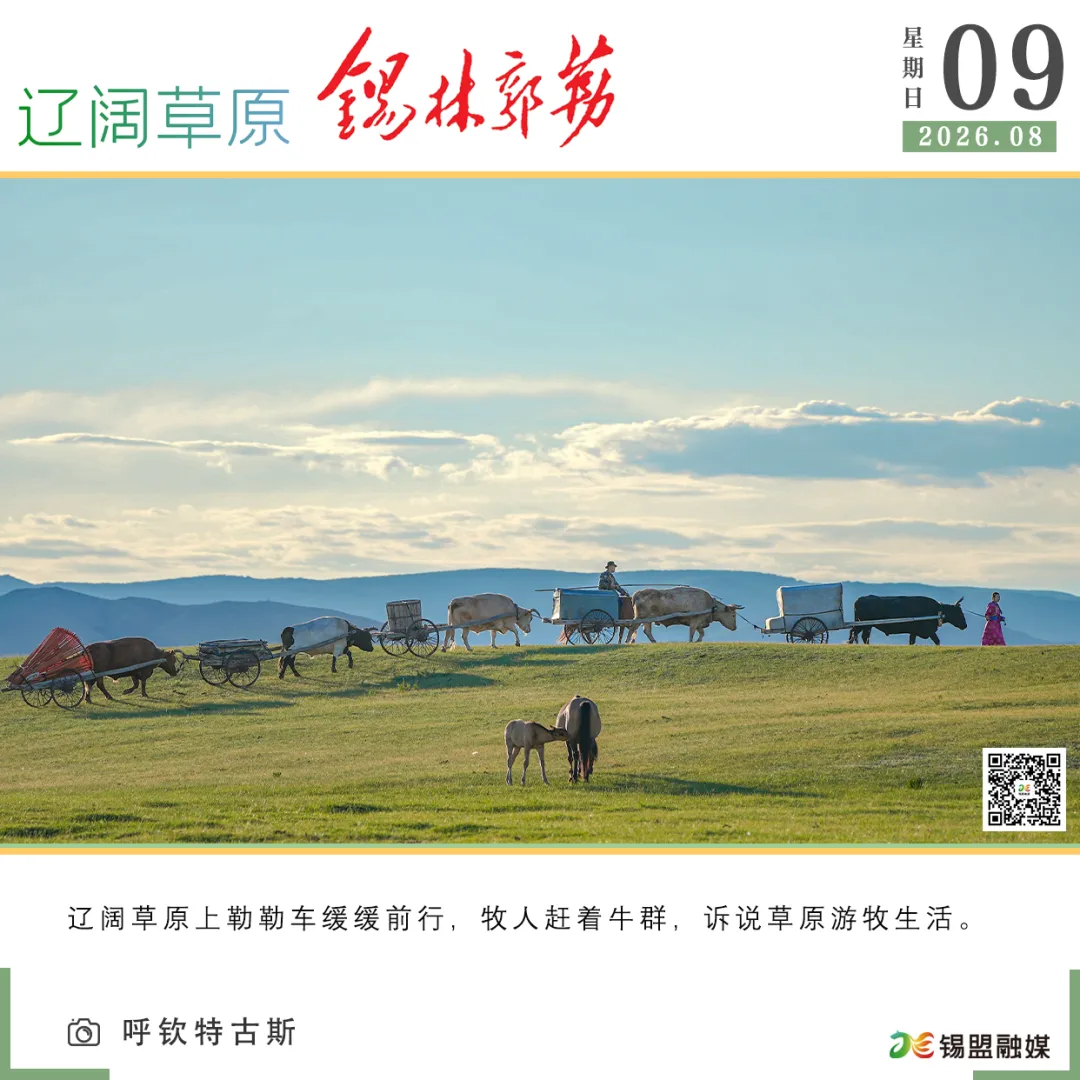 看天下丨《歌从草原来》(民歌季)第三期在乌拉盖管理区完成直播录制!内蒙古博物院声明!