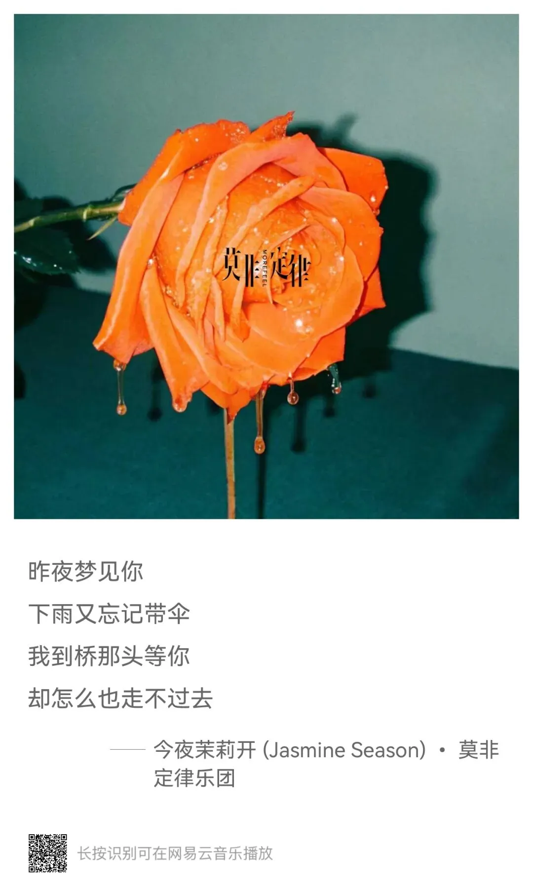 歌曲推荐 | 今夜茉莉开