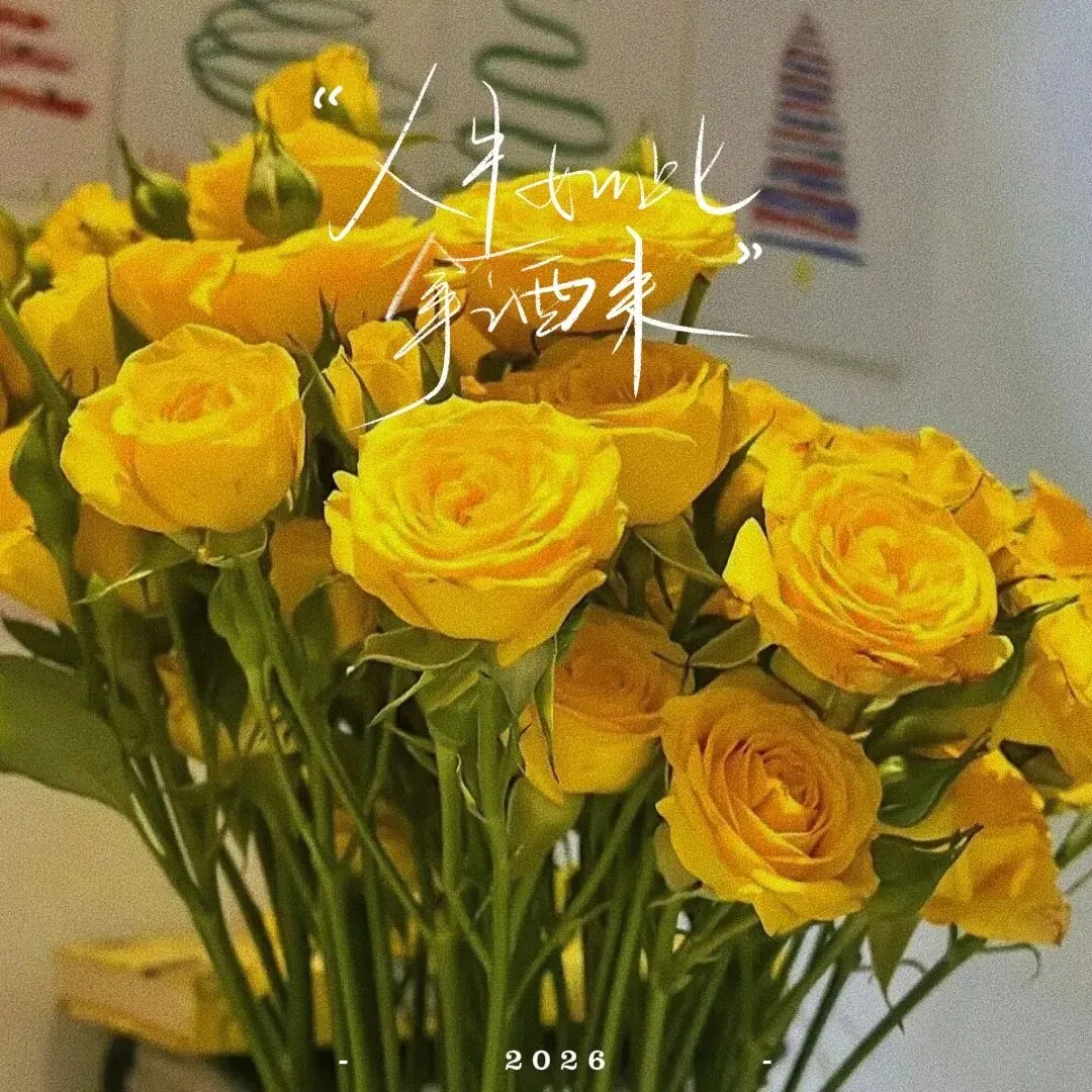 能不能《给我一首歌的时间》,别让故事仓促散场