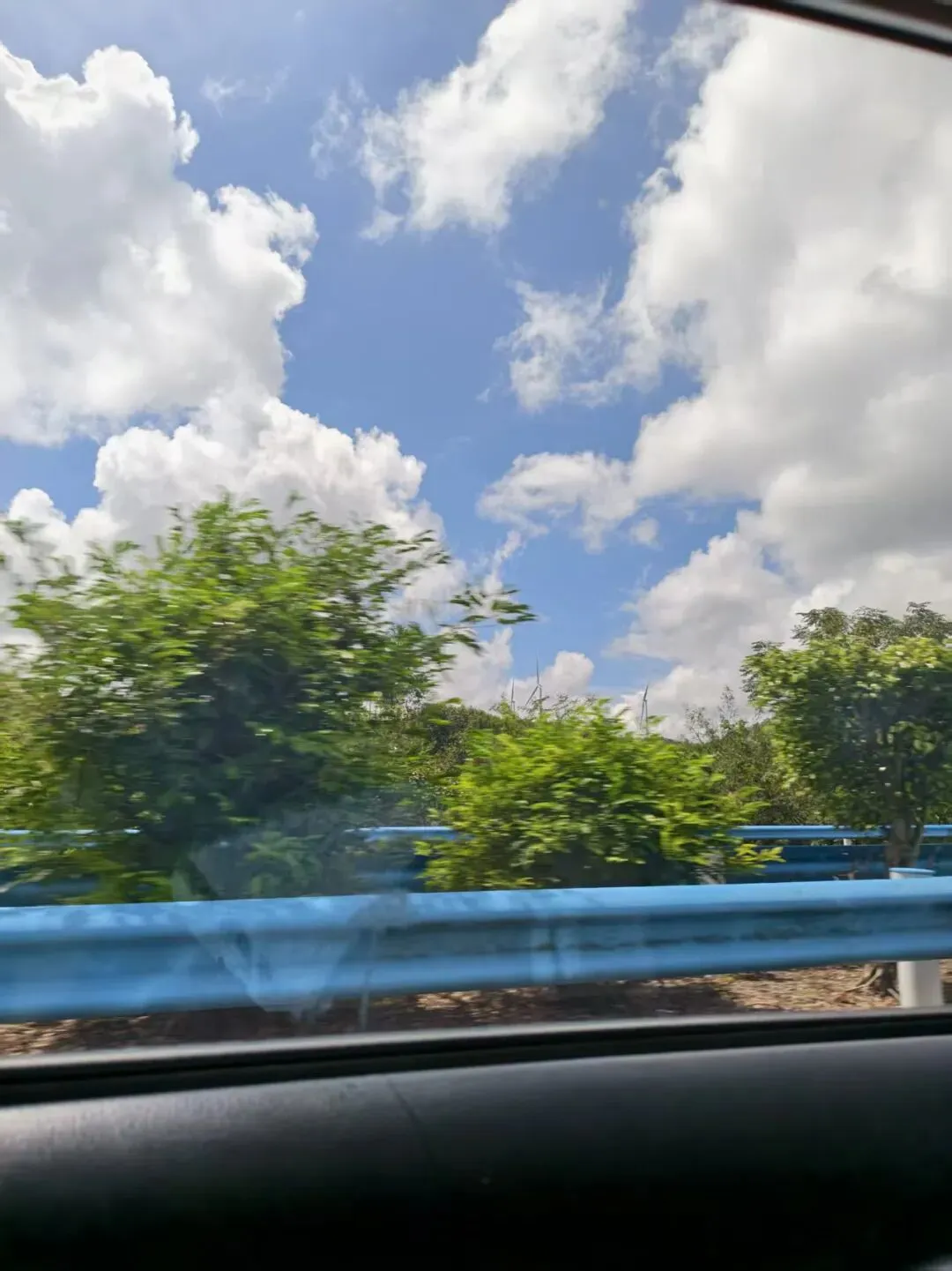 生命,它应当璀璨如歌