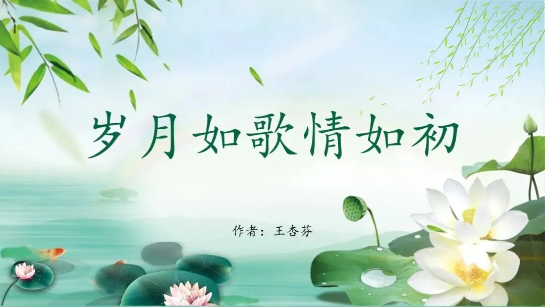 王杏芬|岁月如歌情如初