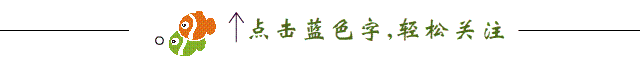 今夜无约(AI歌曲)作词/大漠