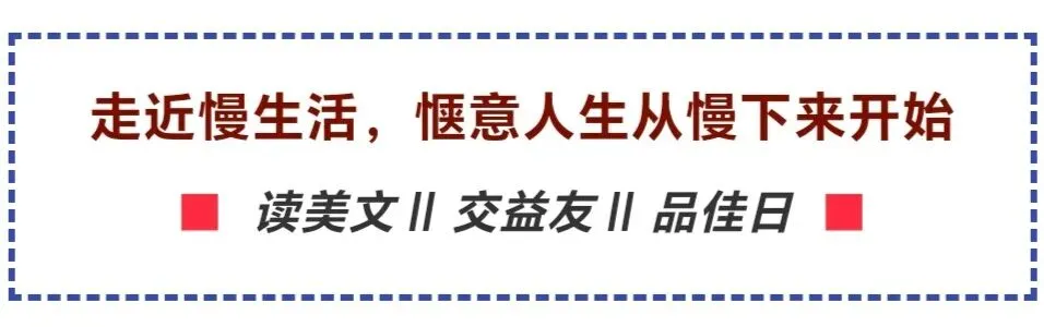 寒风藏别绪,马蹄碎初心——王福君原创歌曲《冬天的风真冷》歌词赏析