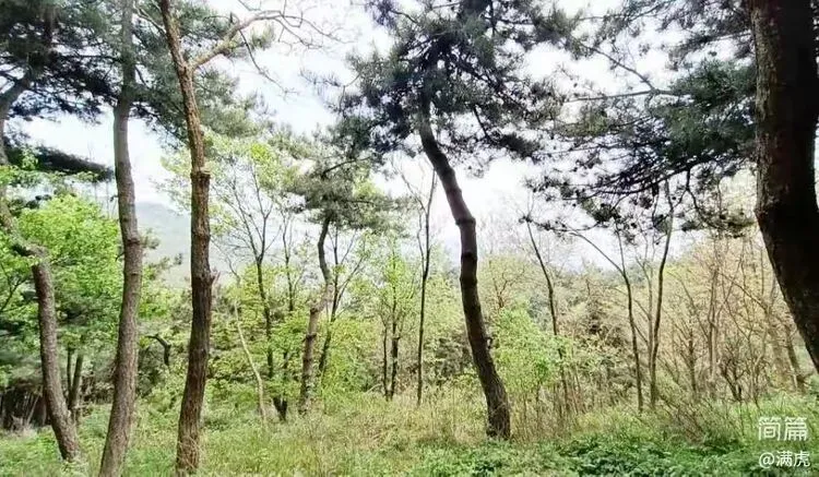 原创歌曲《新阳》弹唱,游子心中永远的乡愁