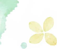 艺术瞭望|赏析经典童声歌曲《绿色的祖国》