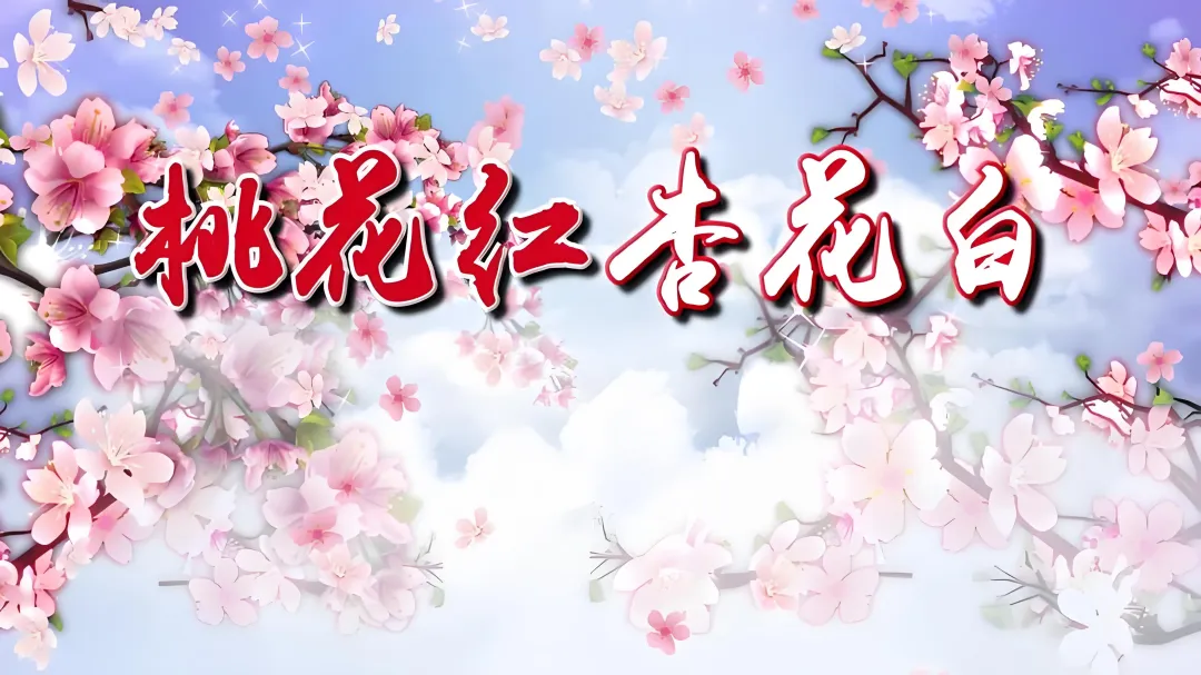 经典老歌|《桃花红杏花白》——"桃花来你就红来,杏花来你就白,爬山越岭我寻你来",那是山西左权民歌里开出的最艳的并蒂花