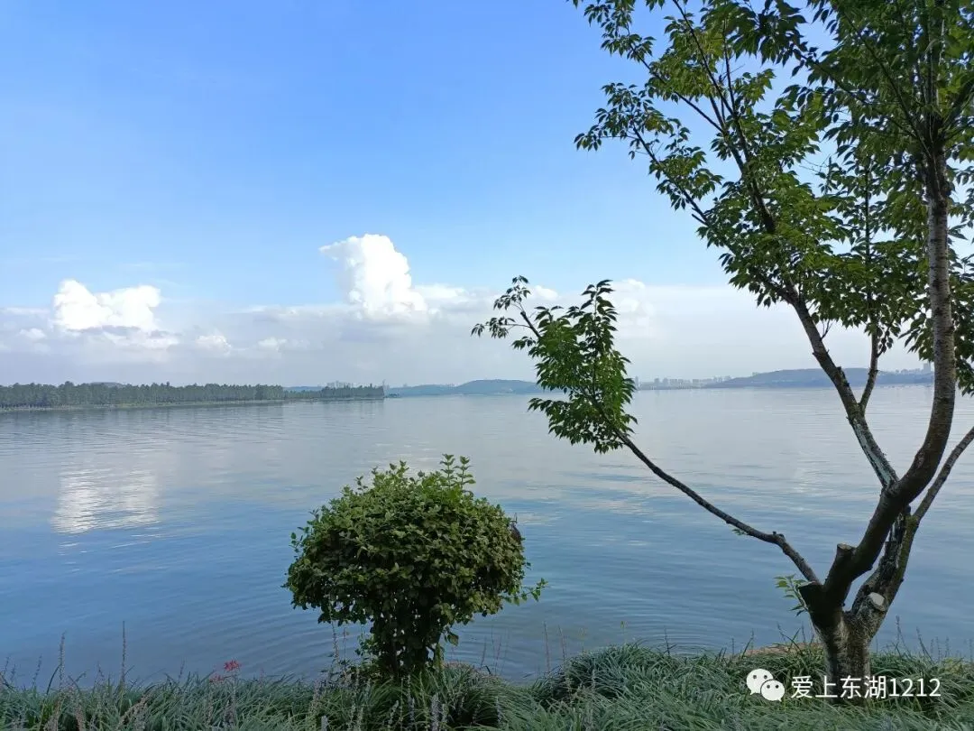 东湖诗话 | 马可之歌
