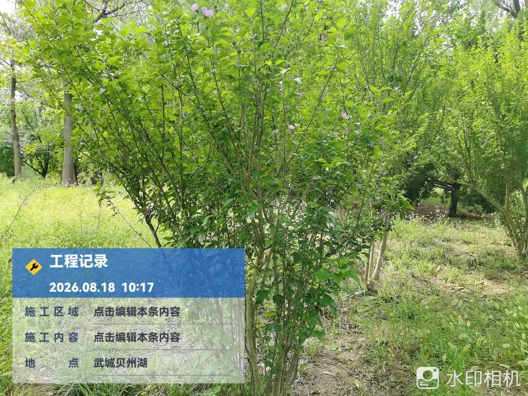 一城清凉半城歌