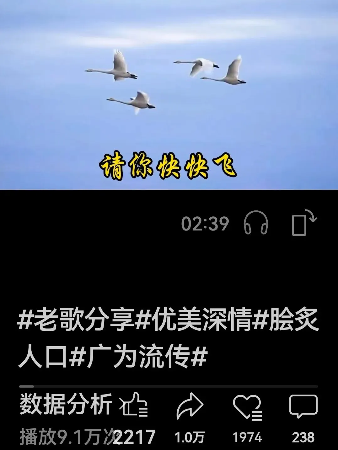 藏族歌曲《远飞的大雁》与知青版的《远飞的大雁》你搞清楚了吗?