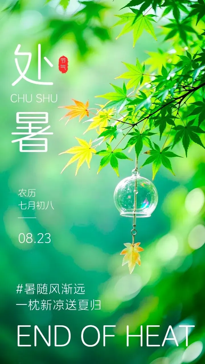 水调歌头 处暑 白绪雷
