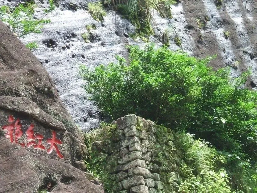大红袍的故事和歌曲