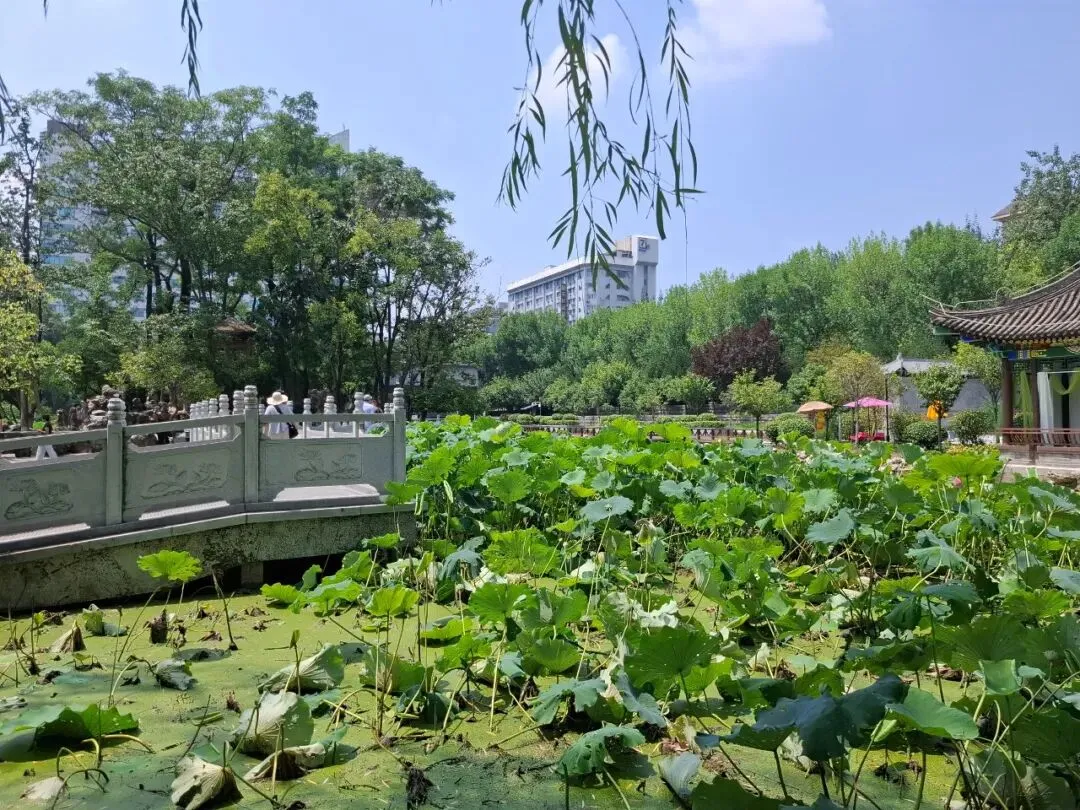 7首经典老歌新唱,你感动了吗