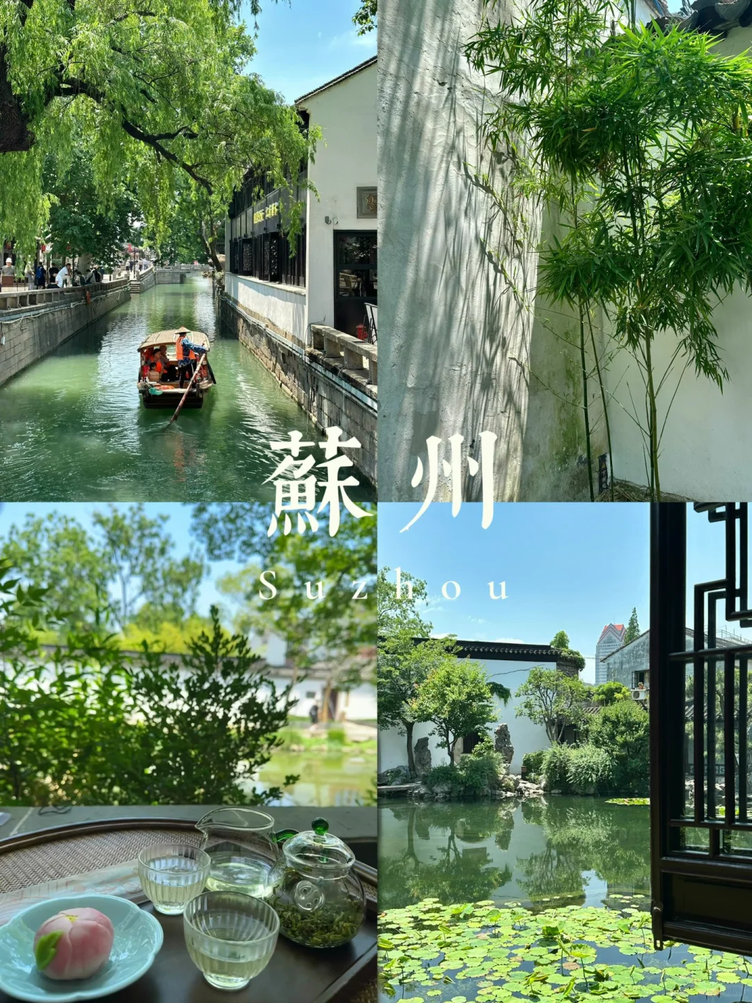 苏州初夏新绿甩京都几条街🌱一日citywalk