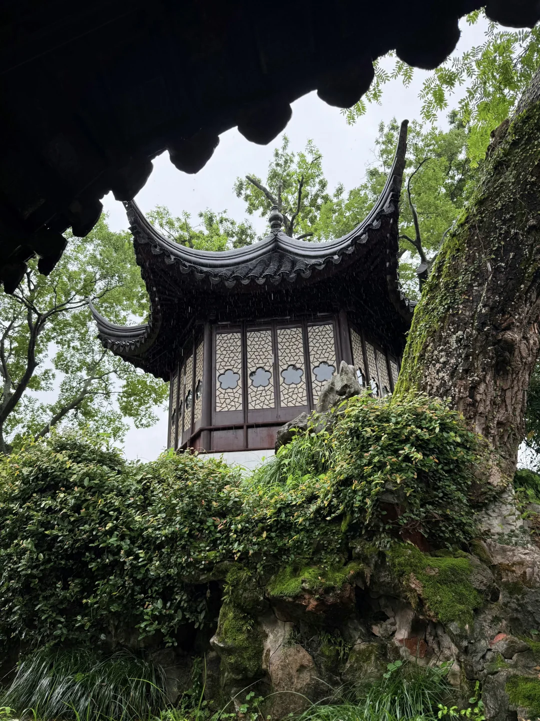 蘇州📍为了这8️⃣张图片来了趟苏州