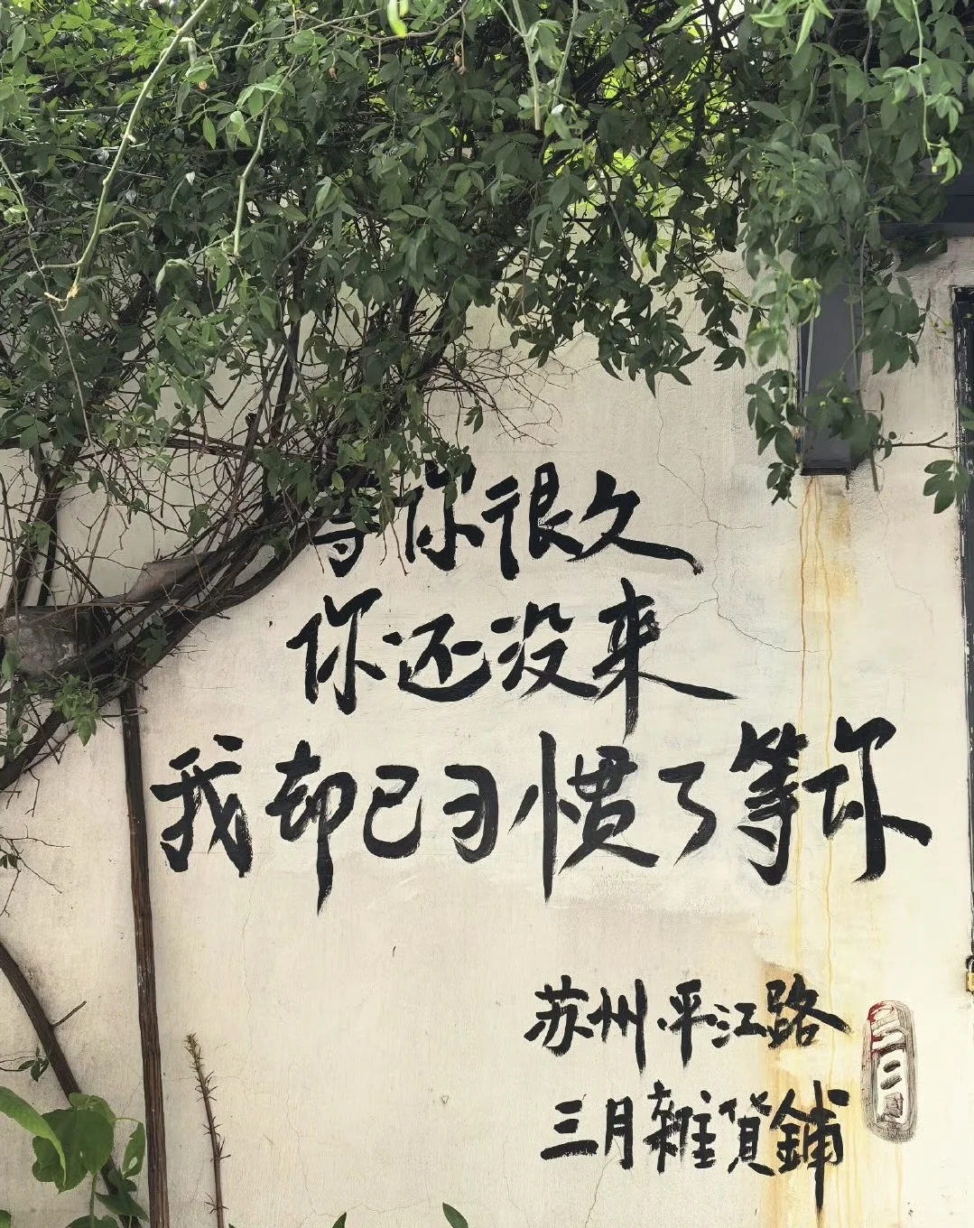蘇州📍为了这8️⃣张图片来了趟苏州