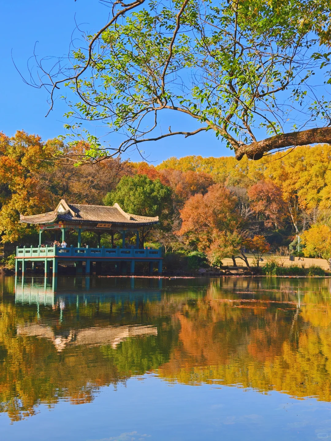 南京流徽榭秋景攻略｜正午1点拍绝湖水倒影