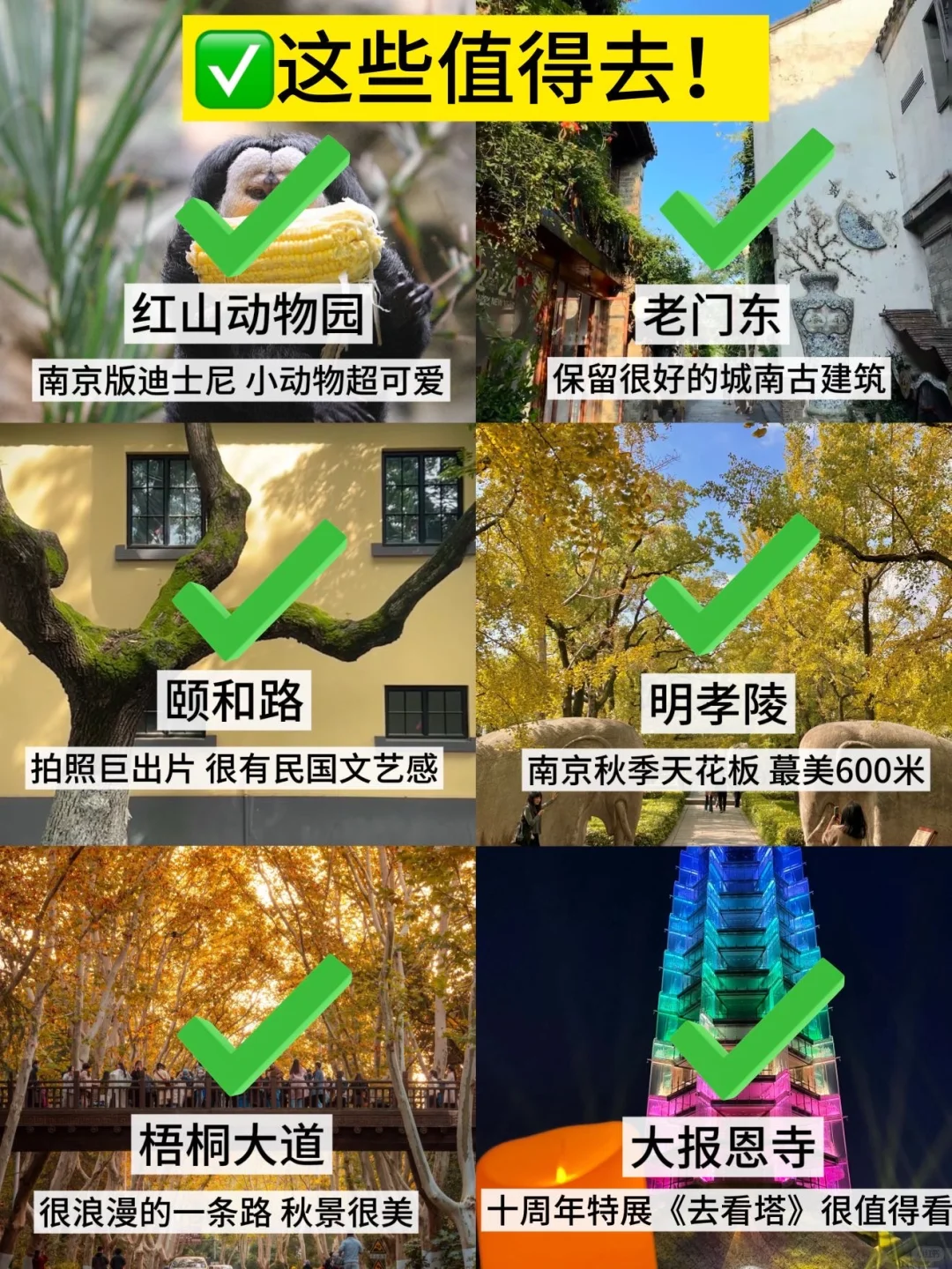 11.9南京现状！冷到崩溃🥶打算来的速看