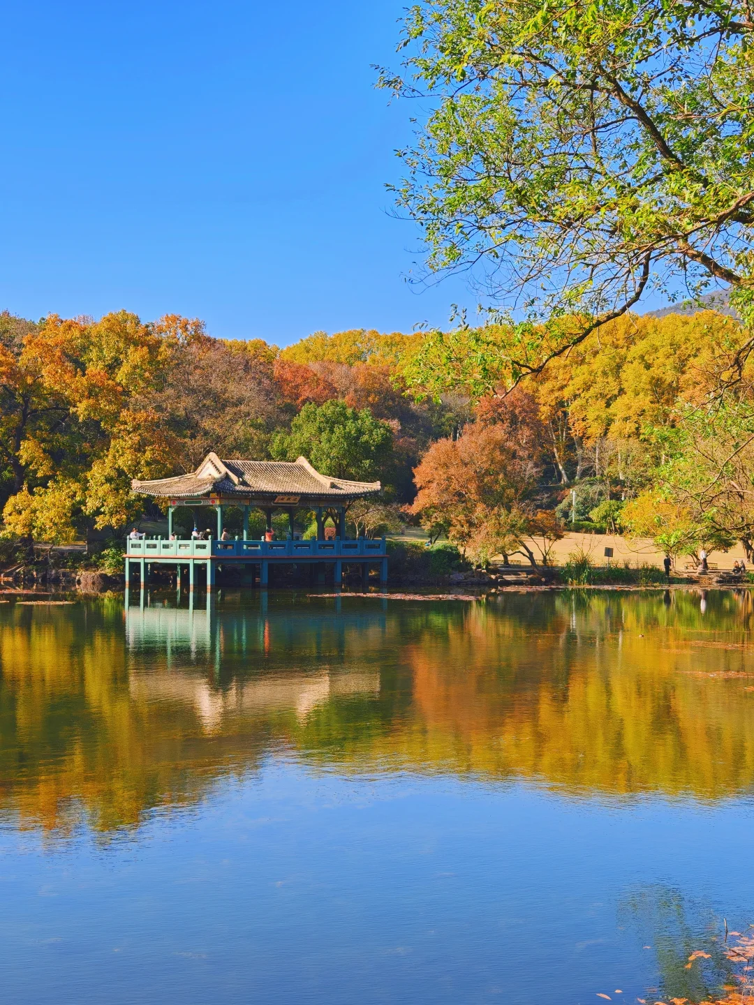 南京流徽榭秋景攻略｜正午1点拍绝湖水倒影