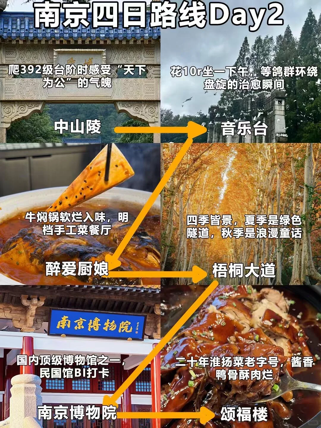 📍11.14南京受冻已回🥶🥶崩溃了...