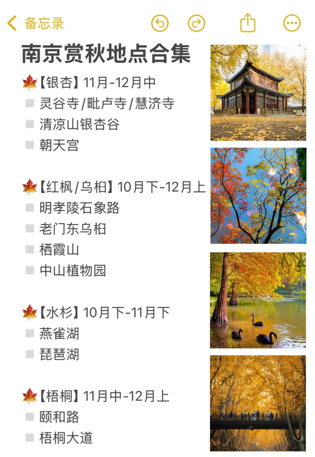 11.9南京现状！冷到崩溃🥶打算来的速看