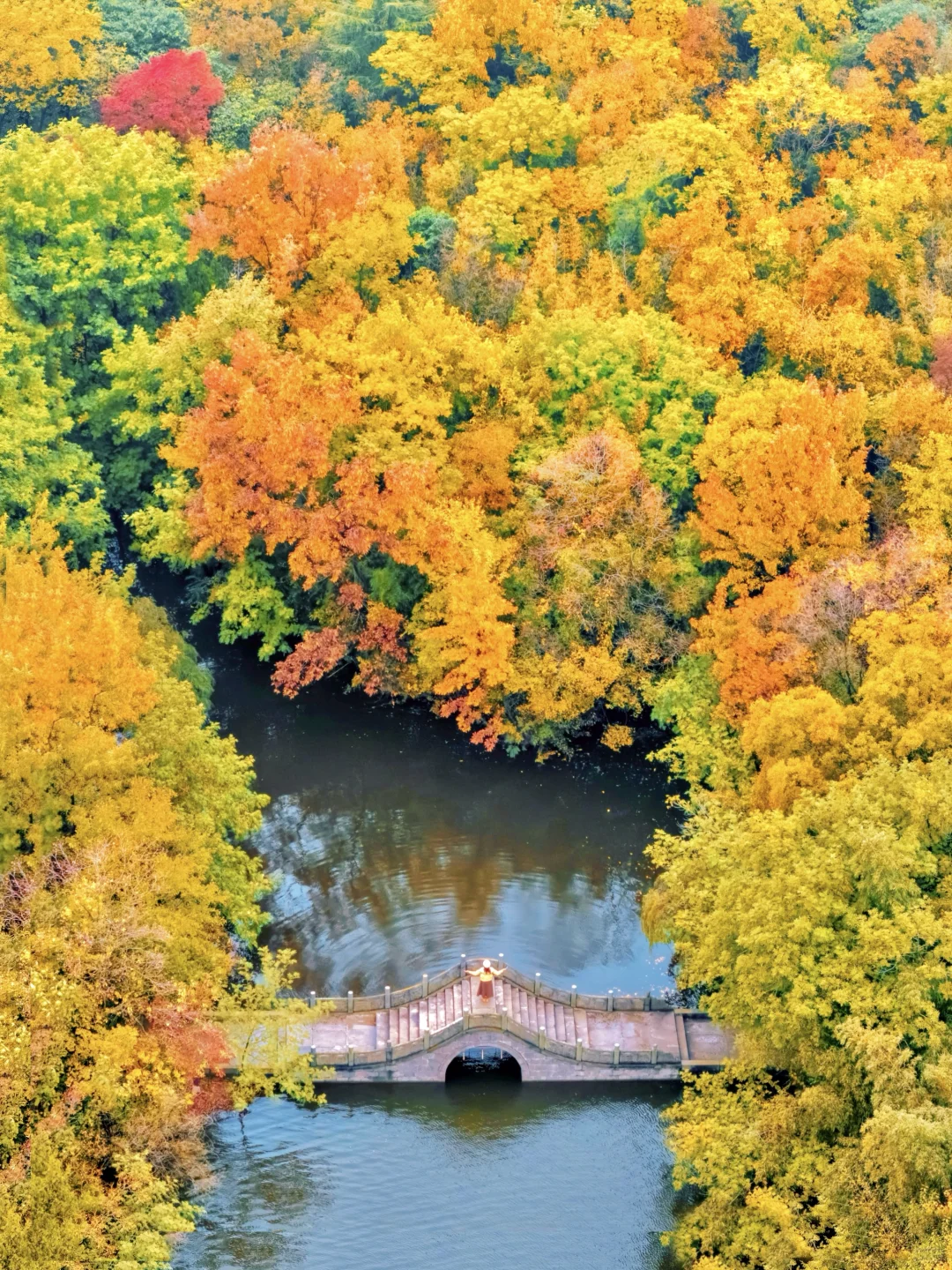 迄今为止🍁江浙沪最喜欢的秋游小城出现了‼️