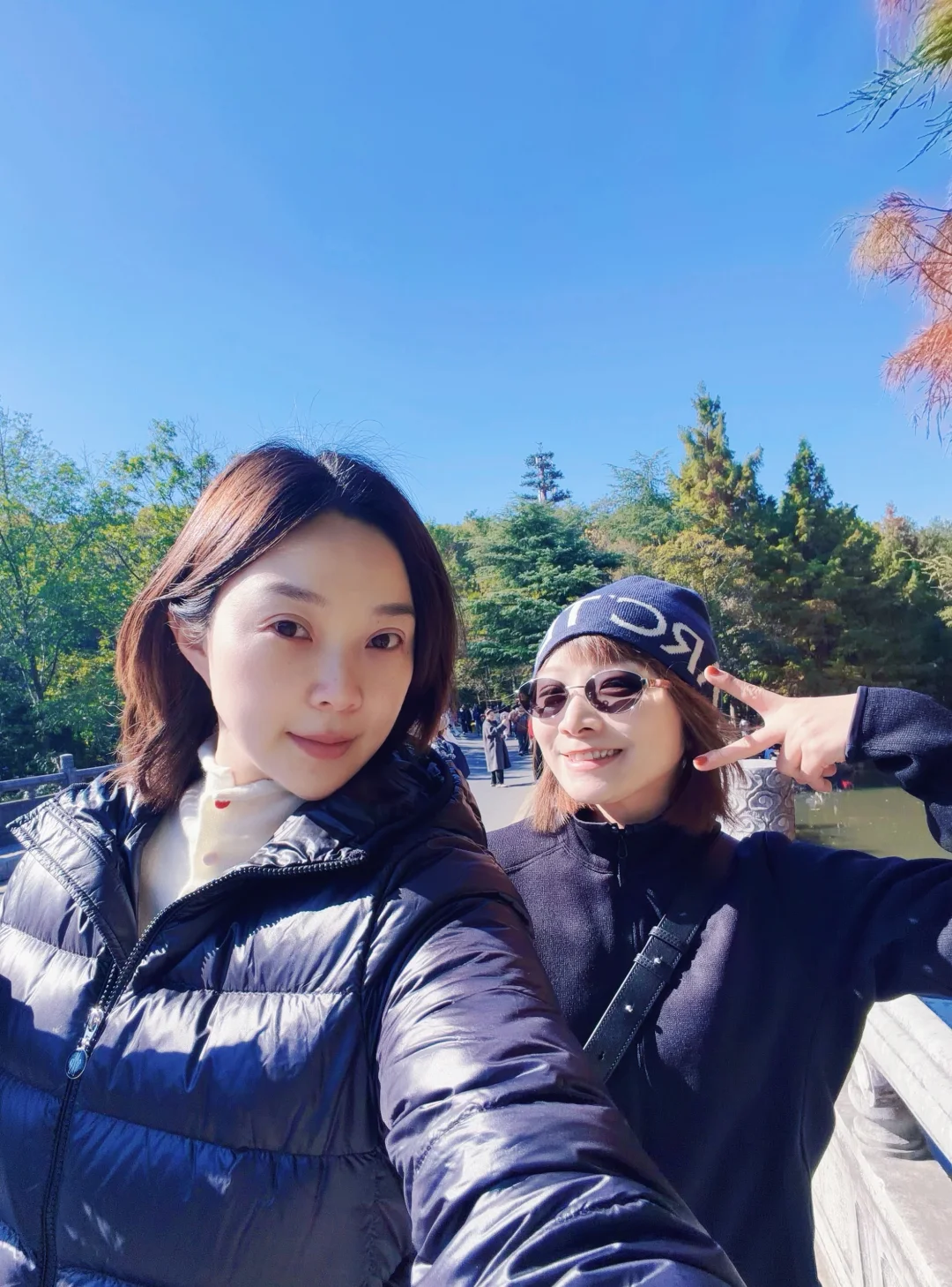 南京的秋天🍂