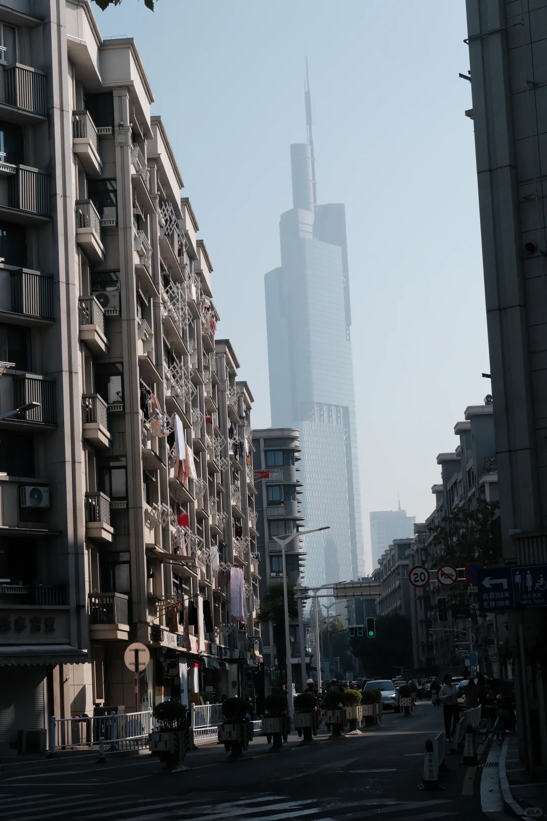 南京‖颐和路的秋天