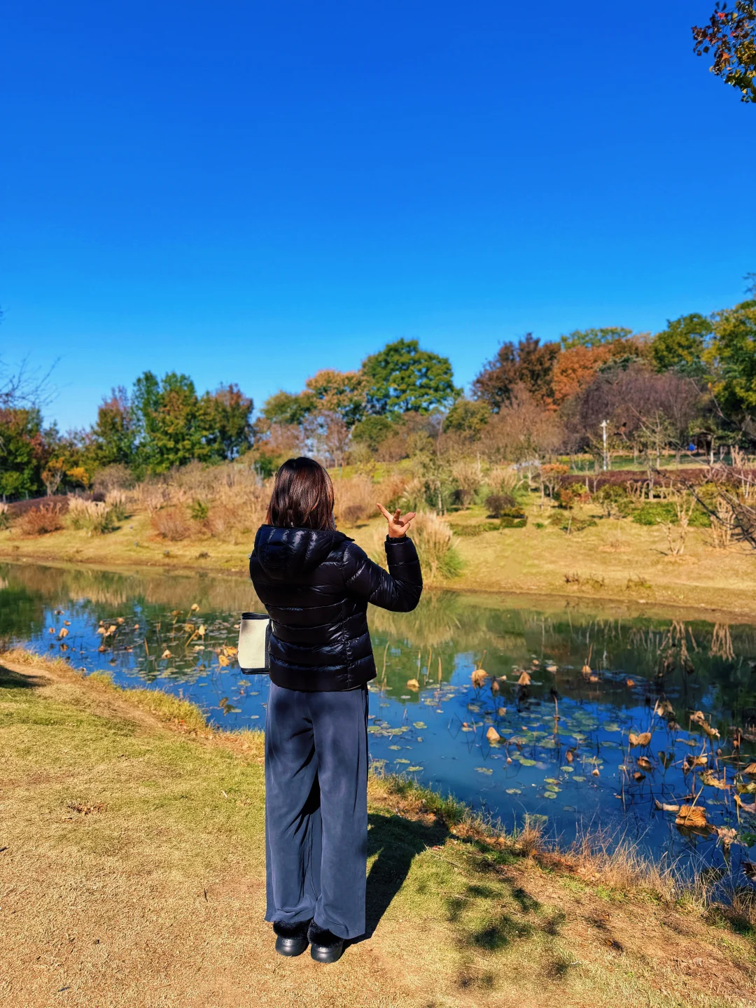 南京的秋天🍂
