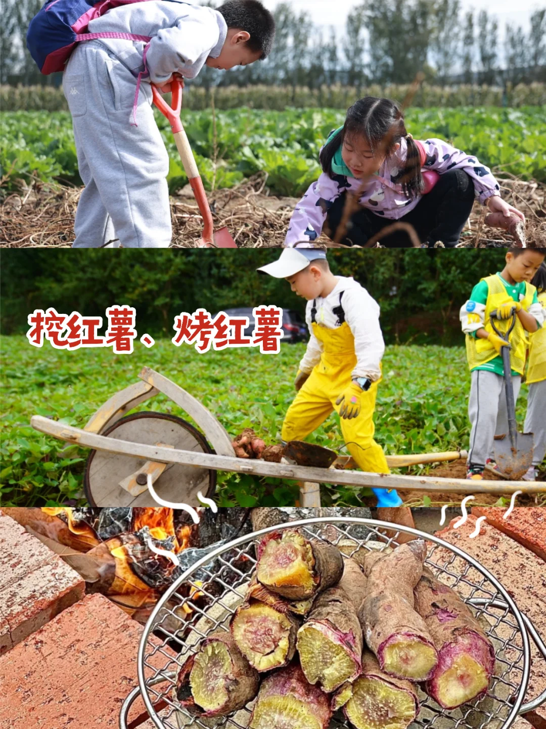南京亲子半日🔥农场&做美食168一大一小！