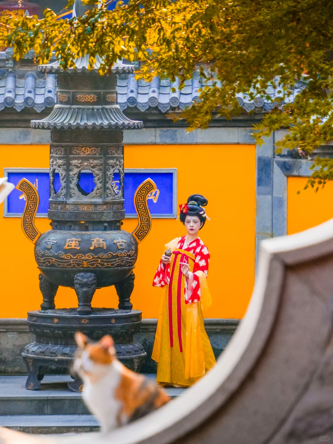 南京｜实拍高座寺银杏树开始进入观赏期