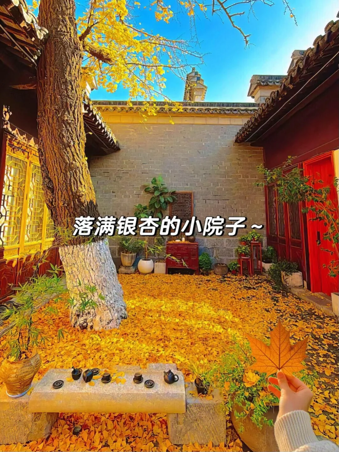 来南京住我家吧！99俩人😭（11.19开始空