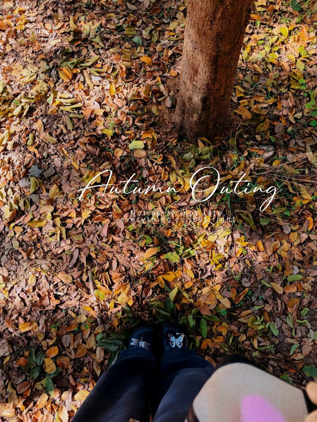 南京的秋天🍂