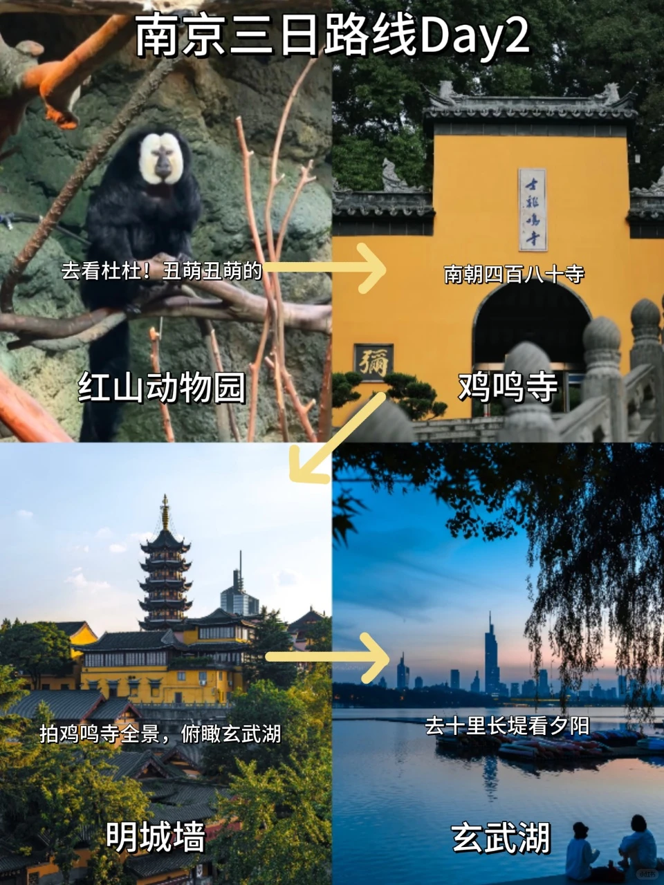 📍11.20南京受冻已回🥶🥶崩溃了...